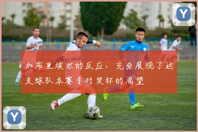 加布里埃尔的反应,充分展现了这支球队本赛季对奖杯的渴望