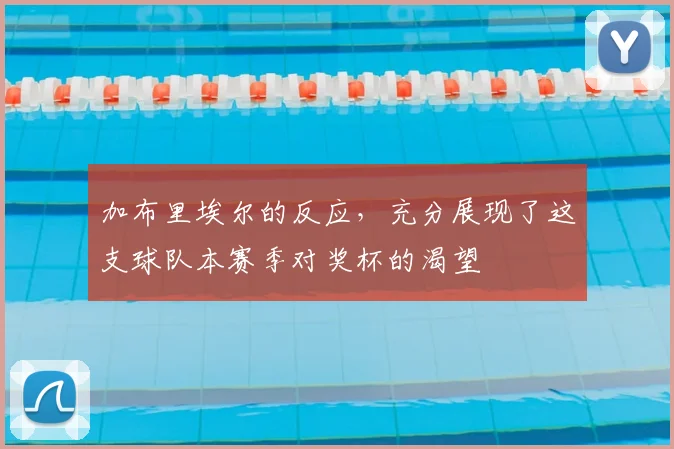 加布里埃尔的反应,充分展现了这支球队本赛季对奖杯的渴望