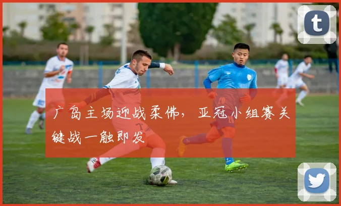 广岛主场迎战柔佛,亚冠小组赛关键战一触即发